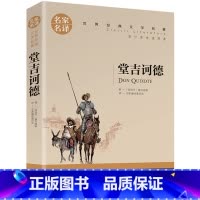 堂吉诃德 [正版]5本25元傲慢与偏见原着原版 初中高中小学生课外阅读书籍小说 青少年名著书籍 成人阅读名著书籍名家名译