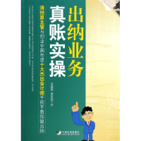 音像出纳业务真账实操吴银花