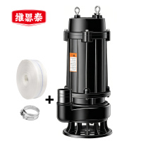 维思泰 污水泵 1