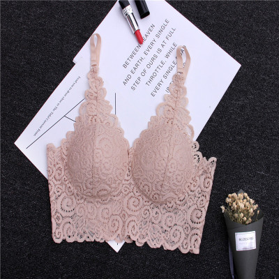 YUNWUXIN大红色蕾丝V型带胸垫美背裹胸短款吊带透衫跳舞打底防走光内衣抹胸