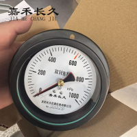 嘉禾长久 双针压力表 Y100ZT 0-1000KPA 块