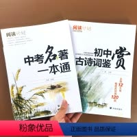 古诗文鉴赏+中考名著一本通/人教版 初中通用 [正版]2023新版 阅读计划 初中古诗词鉴赏120篇 中考名著一本通七年