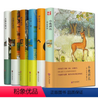 [正版]6本世界童话名著小鹿班比/安徒生/格林童话/一千零一夜/伊索寓言/木偶奇遇记(精装全译本)青少年小学生阅读经典