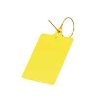 连瑞翔 扎带标签 一次性防拆吊牌 80*100mm 100个/包 包