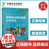 热带林木常见病害诊断图谱 李增平 张宇 侵染性病害的病原物显微图片病害的典型症状原色图片森林病理学热带林木病害防治 农业