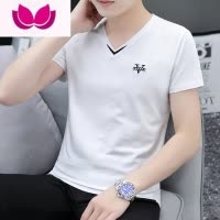 七斓男装2023新款男士t恤短袖v鸡心领上衣服半袖青年潮流时尚丅恤
