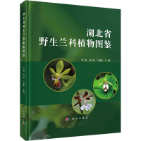 音像湖北省野生兰科植物图鉴覃瑞,刘虹,兰德庆