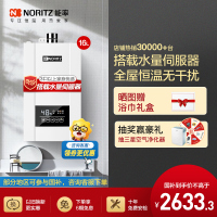 能率(NORITZ) 16升燃气热水器 GQ-16E4AFEX(天然气)(JSQ31-E4) 恒温带水量伺服器 一键节能