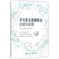 音像多功能金属硼酸盐合成与应用杨军,郭俐聪,郑学家 编著