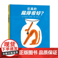 它真的藏得很好 安德烈亚·安蒂诺里 著 儿童绘本