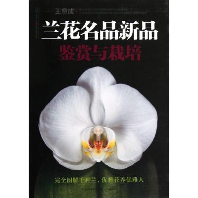 正版新书]兰花名品新品鉴赏与栽培王意成9787553703756