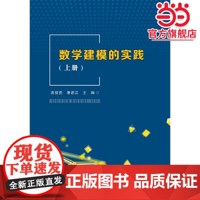 数学建模的实践(上册)