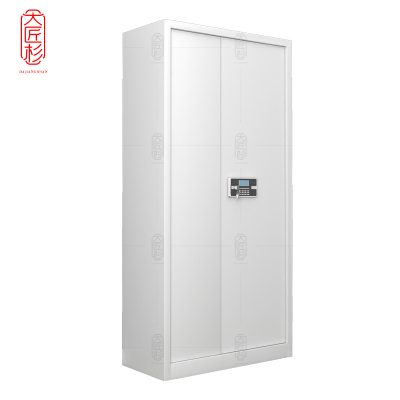 大匠杉 保密柜文件柜通门柜 DBMG05