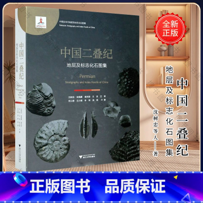 [正版]中国二叠纪地层及标志化石图集(精)/中国古生代地层及标志化石图集/沈树忠/徐海鹏/袁东勋/王玥/王军/浙江大学