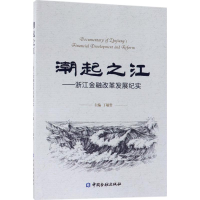 音像潮起之江丁敏哲 主编