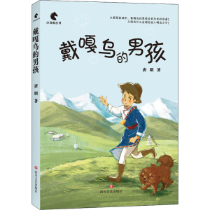 醉染图书戴嘎乌的男孩9787541156861