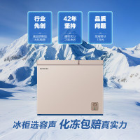 容声 BCD-210MSA钛空金 210升冰柜家用商用冷藏冷冻两用双温大冷柜卧式冰箱一级能效大容量断电保护