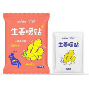 海氏海诺10贴装草本生姜暖贴冬季外出保暖贴一次性自发热防寒暖身贴暖宝宝