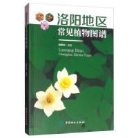正版新书]洛阳地区常见植物图谱戴攀峰编著9787521902563