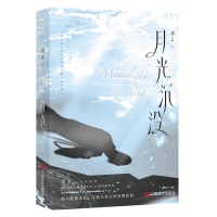 正版新书]月光沉没初禾浪漫悬疑代表作拯救我的少年是雪山尖儿上