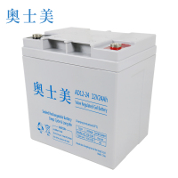 奥士美 免维护胶体蓄电池 AD12V-24 只