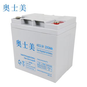 奥士美 免维护胶体蓄电池 AD12V-24 只