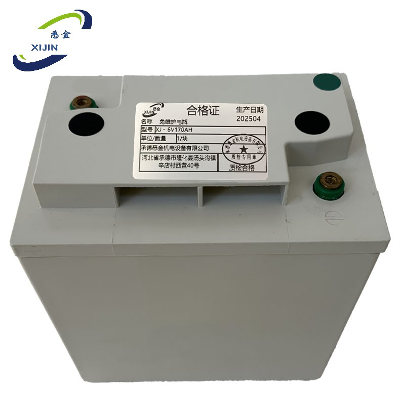 悉金 免维护电瓶 XJ - 6V170AH 块