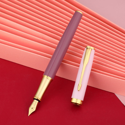 英雄(HERO) 钢笔 简装学生男生商务书法练字三年级中小学女士定制刻字E609