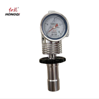 红旗 爆发压力表长杆定制检测款Y60BF 16MPA (其他压力需备注) 块