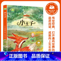 小王子 [正版]彩绘注音版国际儿童文学经典书系22册无障碍阅读小学生课外故事书爱的教育安徒生童话吹牛大王历险记捣蛋鬼日记