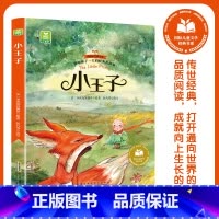 小王子 [正版]彩绘注音版国际儿童文学经典书系22册无障碍阅读小学生课外故事书爱的教育安徒生童话吹牛大王历险记捣蛋鬼日记
