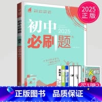 语文 九年级上 人教版 [正版]2024新版初中必刷题九年级上册下册数学英语化学物理九下人教版苏科版苏教版沪教江苏初三必