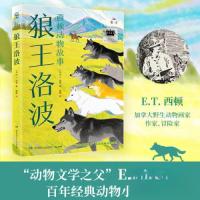 正版新书]2025年百班千人暑期书目五年级 狼王洛波小博集 出品