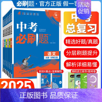 [中考解题有法]物理 重难题突破 全国通用 [正版]2025中考语文数学英语物理化学政治历史地理生物人教版初中初三九年级