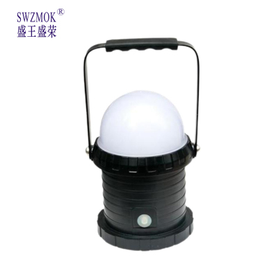 盛王盛荣 LED 轻便工作灯