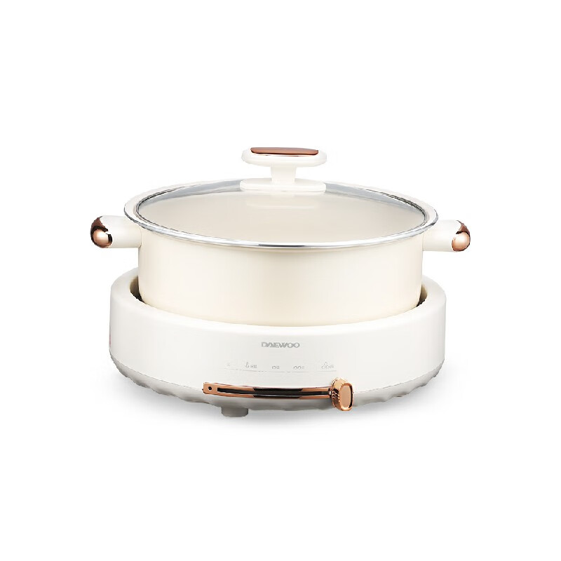 大宇家用分体式电火锅DYHG-505