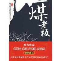 正版新书]煤老板王湛国 9787539935522