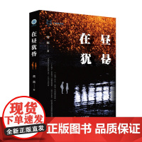 正版 在昼犹昏 盖越 法律出版社 zk