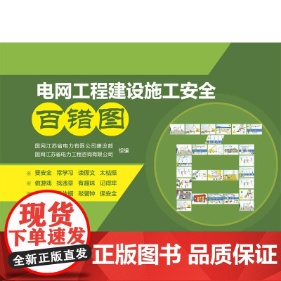 电网工程建设施工安全百错图