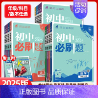 数学 北师版 九年级上 [正版]2024/25版初中七八九年级上下册语文数学英语物理化学政治历史人教冀教北师沪教初一二三