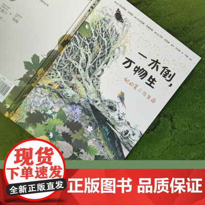 一木倒 万物生 瓦伦蒂纳·戈塔迪 著 森林倒木生态系统 植物界的鲸落现象 科普百科