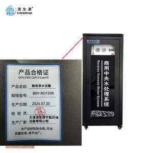 滨生源商用净水设备制水量60升内置20G压力桶黑金刚BSY-RO1200(台)