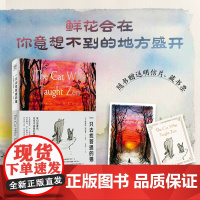 一只去找菩提的猫 詹姆斯·诺伯里著 一本从9岁读到99岁的哲理之书 传统禅宗对话哲理故事 寻找人生的意义焦躁