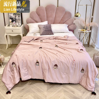 夏季空调被天丝薄款夏凉被可爱刺绣公主风夏被单人双人被芯可机洗 三维工匠被子