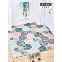 北欧ins丝圈地垫入户可裁剪口地毯垫家用简约现代脚垫进