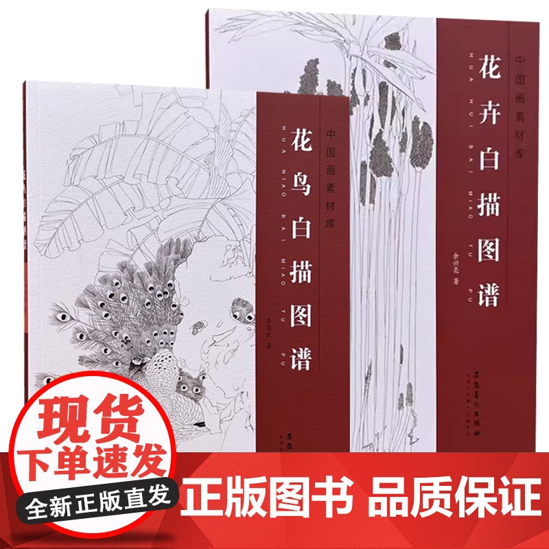 [2册]花鸟白描图谱+花卉白描图谱 中国国画工笔画底稿白描画稿画谱中国画素材库书籍