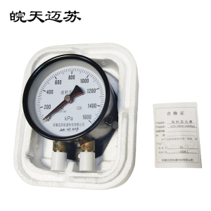 皖天迈苏 YCS-100双针压力表 0-1600kpa 块