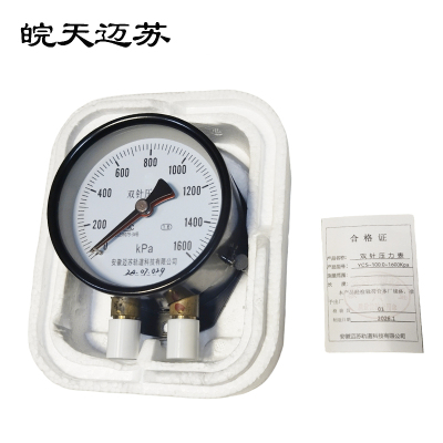 皖天迈苏 YCS-100双针压力表 0-1600kpa 块