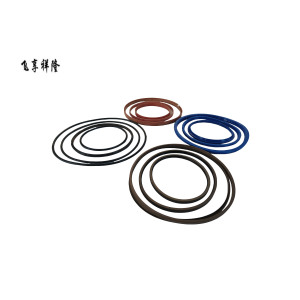 飞享祥隆 密封垫 FX-800-14 套