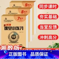 数学·湘教版 七年级上 [正版]名校课堂小练习七八九年级上册数学湘教版同步课堂基础练习每日一练当堂检测初中小题狂做一课一